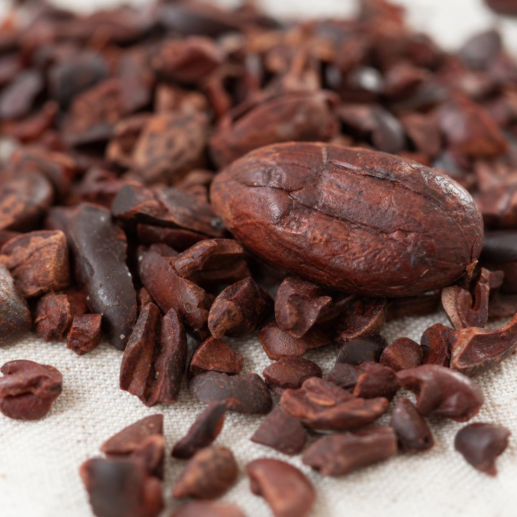 Raw Cacao (Theobroma cacao), botanical in Orivaine Crimson Velvet Comfort Blend